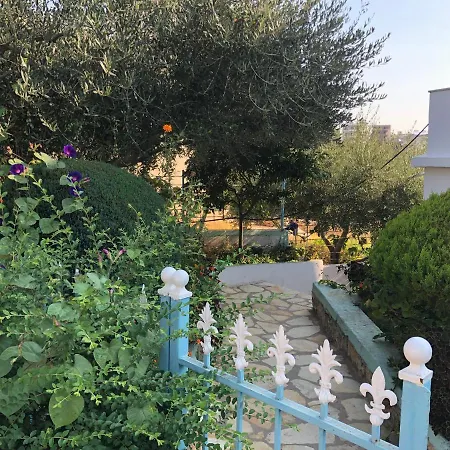بيت ضيافة Agim Caca & Studio